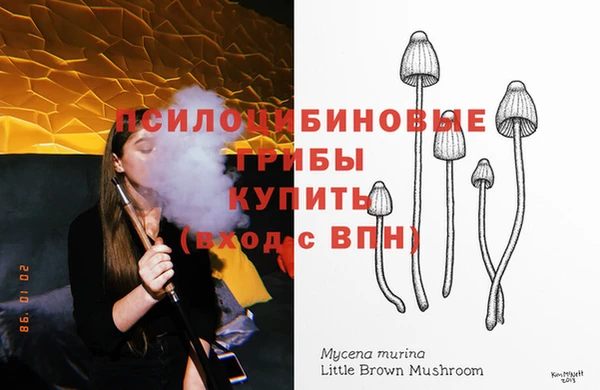 jwh Алзамай