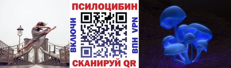 Купить закладки  Пенза  Галлюциногенные грибы MAGIC MUSHROOMS 